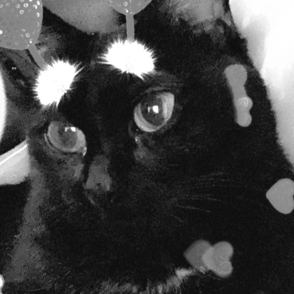 Meet your Posher, Nique - Picture 1 of 1